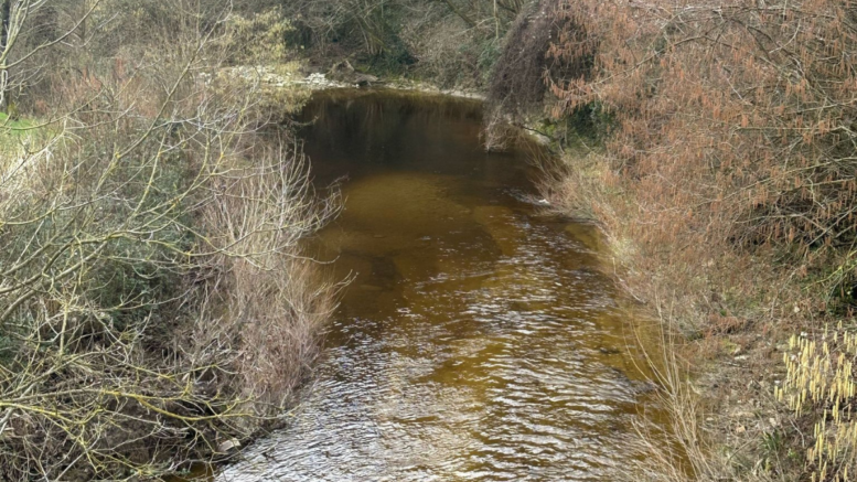 Torrente Auro, foto Fipsas